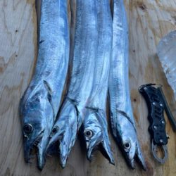 ヤバいやつ釣れました！