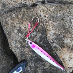 ショアジギング