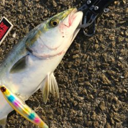 やっと俺のターン