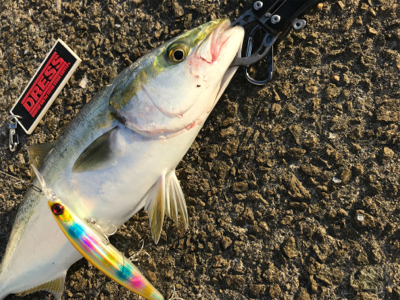 やっと俺のターン