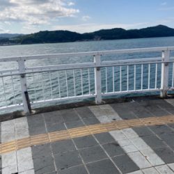 太刀魚〜エソ〜ダツ