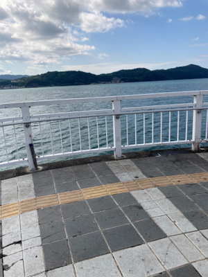 太刀魚〜エソ〜ダツ