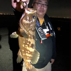 初タチウオ、おまけはアコウさん