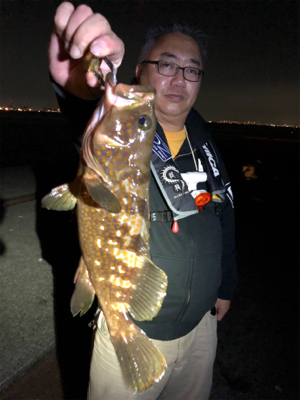 初タチウオ、おまけはアコウさん