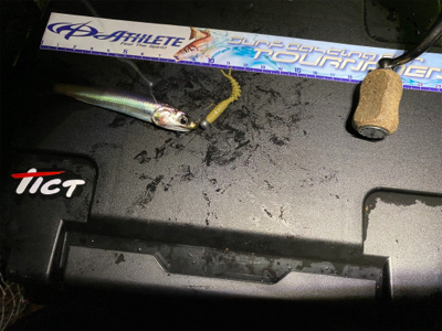 アジング人多過ぎ