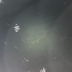 想像以上に寒いライトゲーム