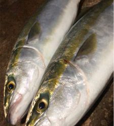 雨で足元が悪い中