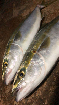 雨で足元が悪い中