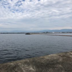 ノマセは不発でしたが、サビキ 釣りで五目達成