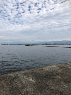 ノマセは不発でしたが、サビキ 釣りで五目達成