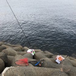 波止グレ釣り