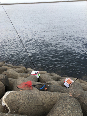 波止グレ釣り