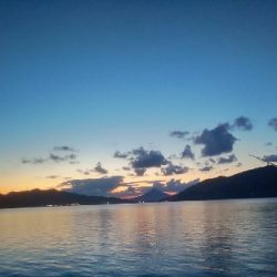 イカの気持ちは秋の空