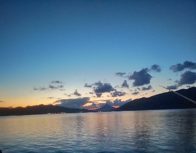 イカの気持ちは秋の空