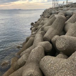 出勤前、約1時間半のエギング(^.^)