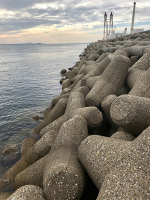 出勤前、約1時間半のエギング(^.^)