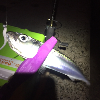 大阪湾奥アジング