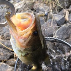 久々の布目ダム