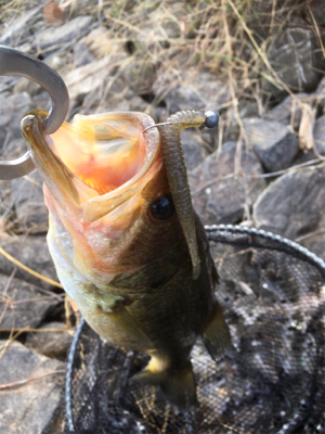 久々の布目ダム