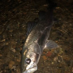 まあまあサイズ