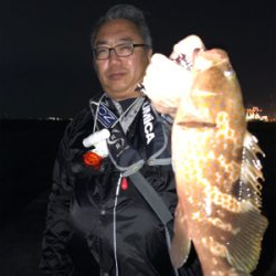 まだまだアコウさんは健在ですね