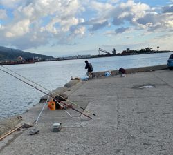 秋のカレイ、キス、五目釣り