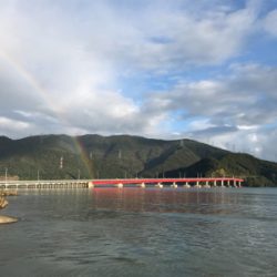 アオリイカを求めて⑬