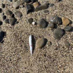 ゴールデンタイム♪