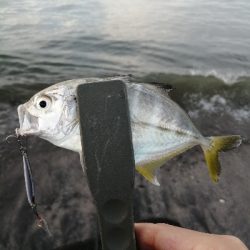 メッキポンポン