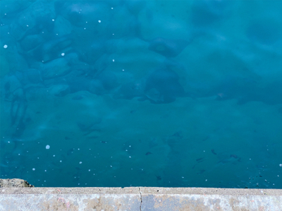 小メバル釣り！