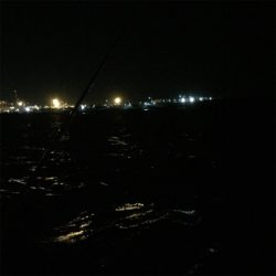 舞洲でサゴシ！