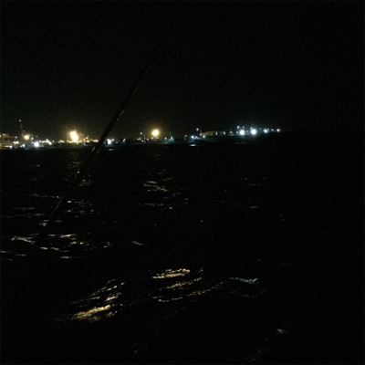 舞洲でサゴシ！