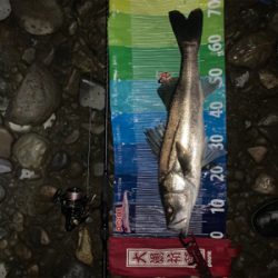 前回に続きd(^_^o)