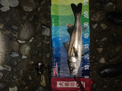 前回に続きd(^_^o)