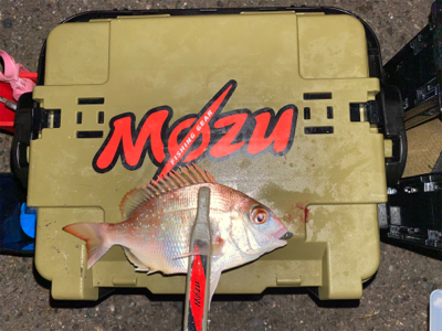 常夜灯　ボトムドリフト