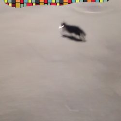 アジング練習 205