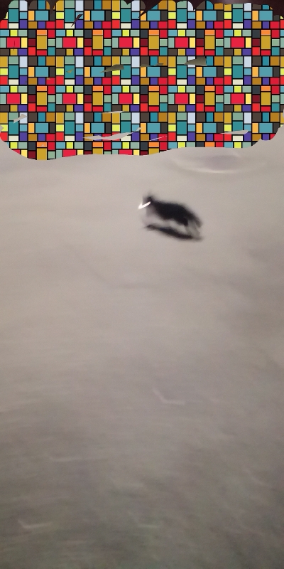 アジング練習 205