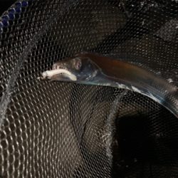 フロートアジング