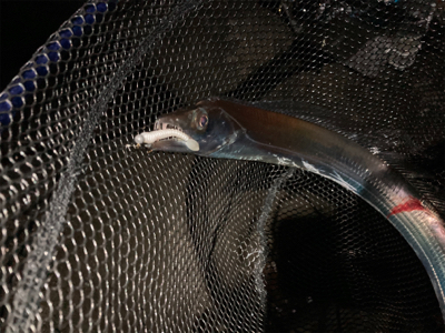 フロートアジング