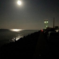 エギングなのに…タコングσ(^_^;)