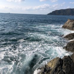 サイズ上がってきました