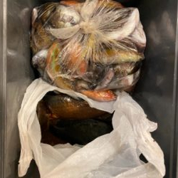 秋のファミリーフィッシング