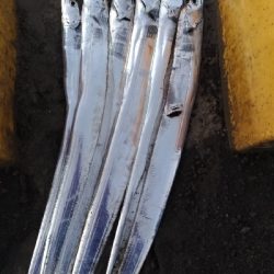 10/25釣果尺アジタチウオチヌグレサバ