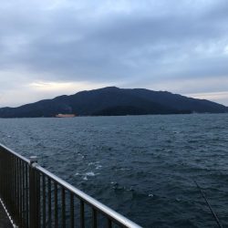 大潮チャレンジ