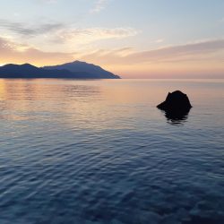 イカの気持ち２