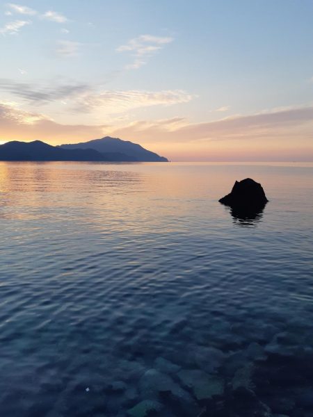 イカの気持ち２