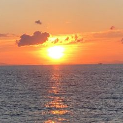 佐渡ヶ島エギング 29回目