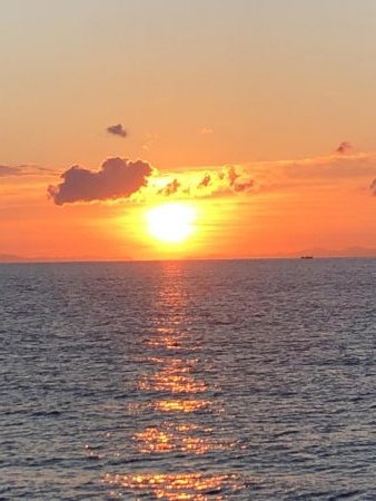 佐渡ヶ島エギング 29回目