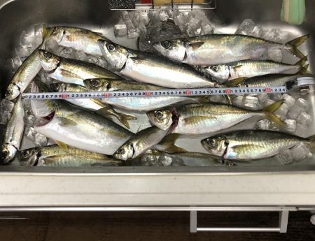 バチコンからのジギング