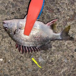 雨の中でも釣り